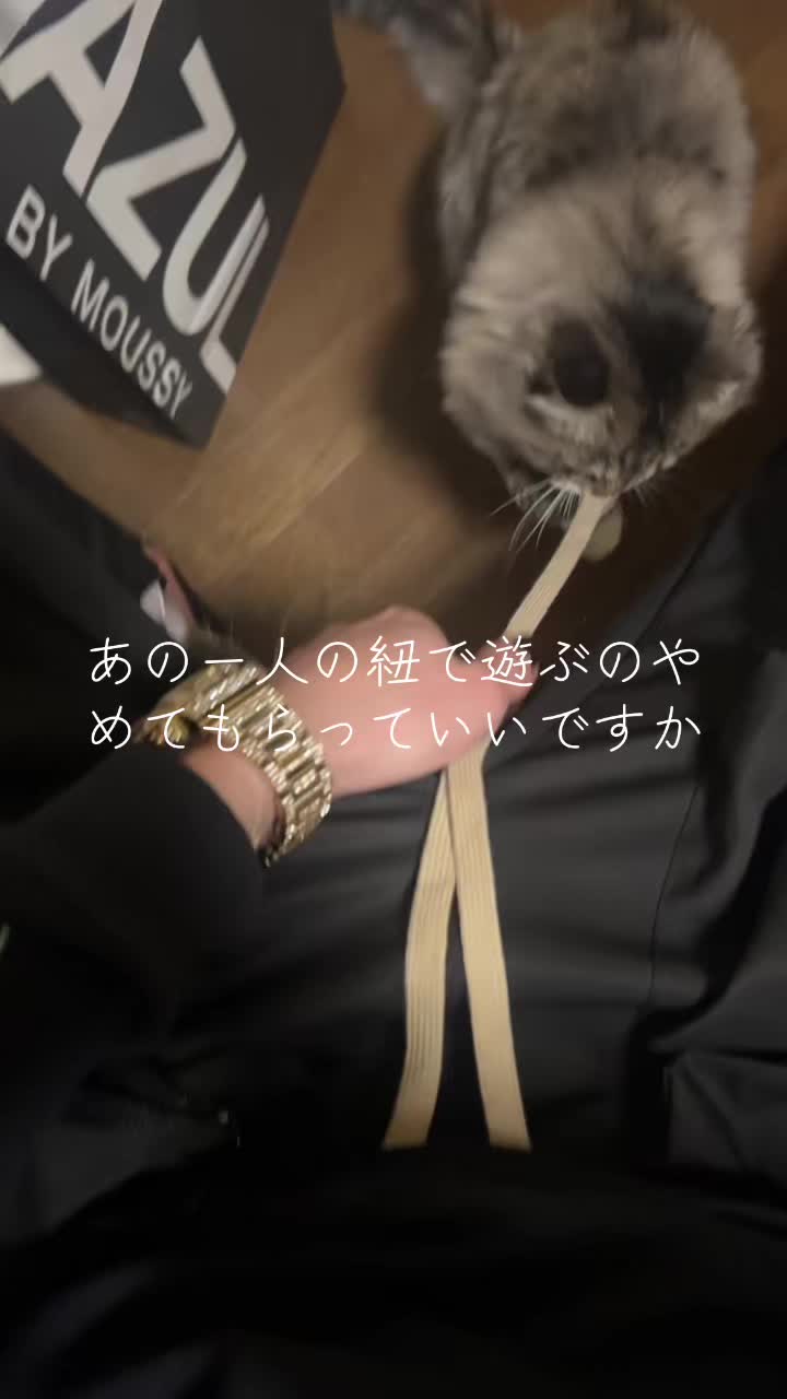 @麒麟🖤