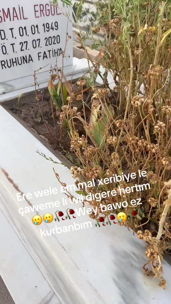 @Mesut Ergül