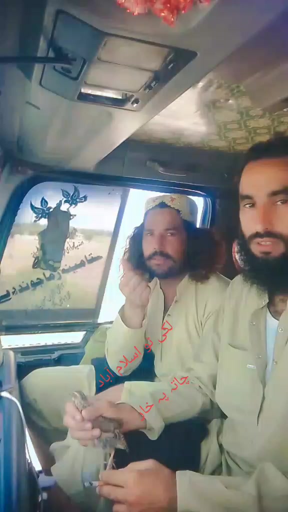 @azizmarwet33