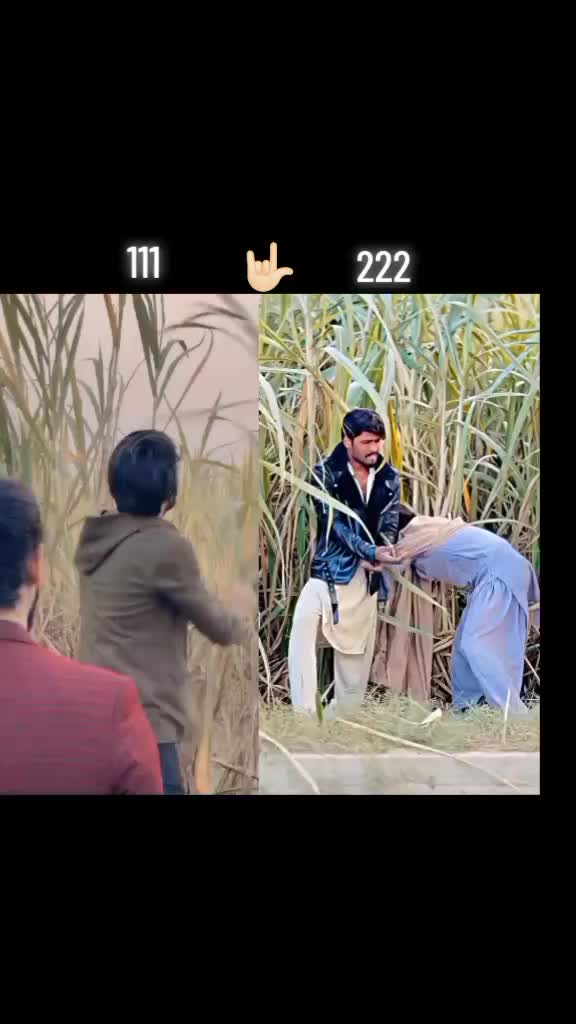 @user05176683245