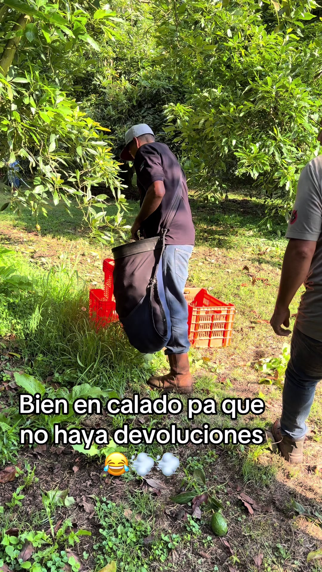 @EL SE&Ntilde;OR DE LOS PEDOS