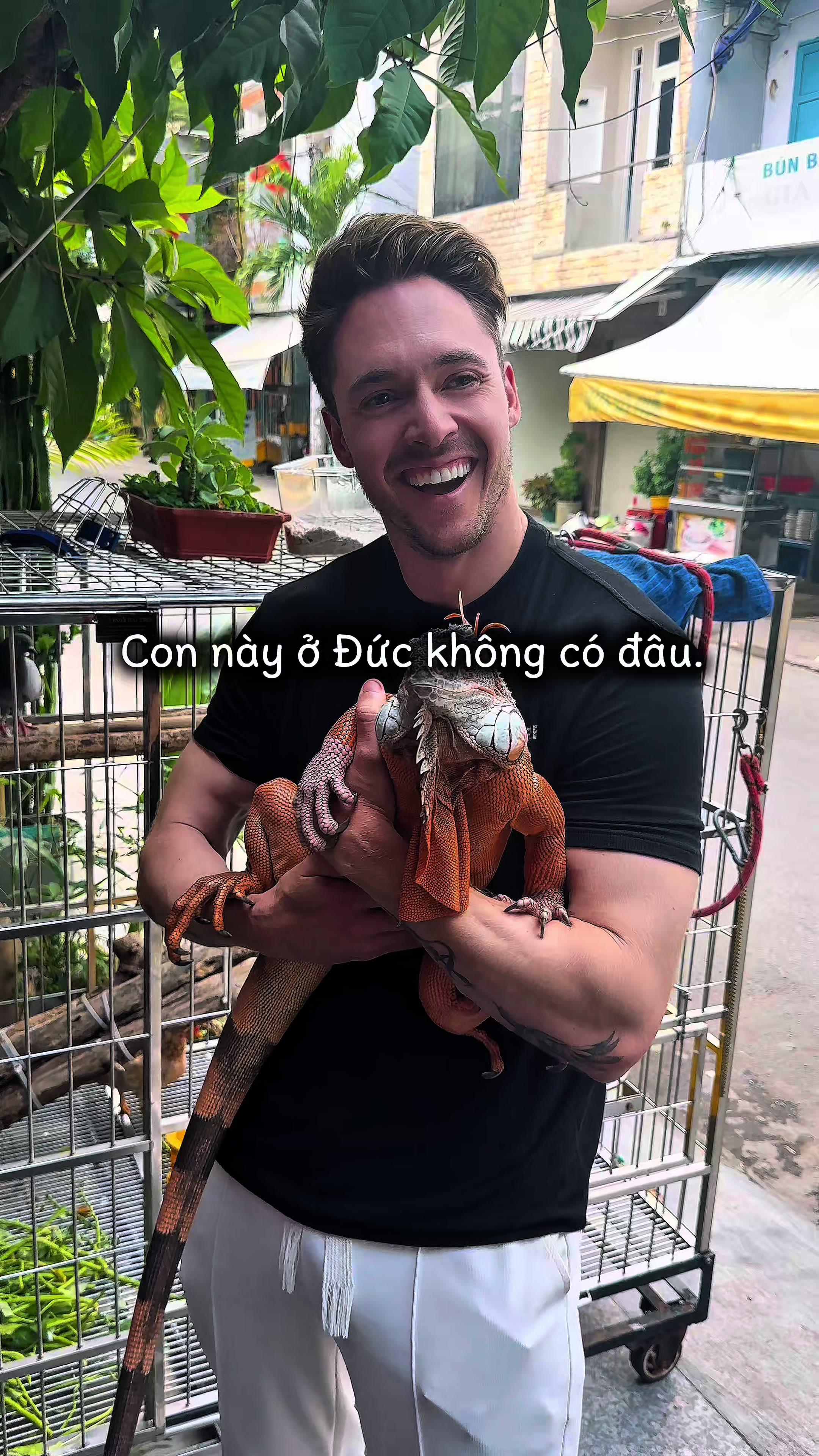 @PhởnaticĐức