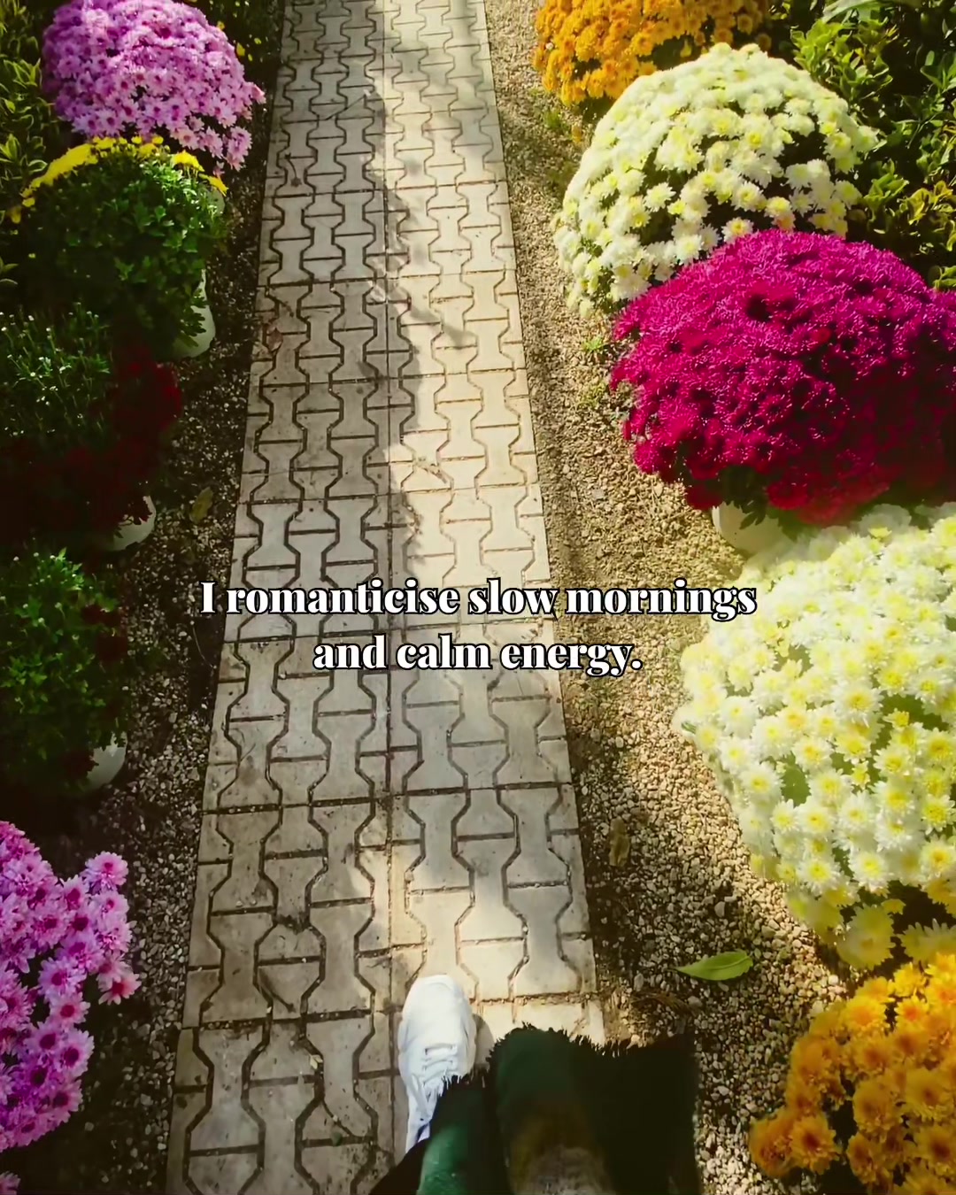 @In My Fortys I