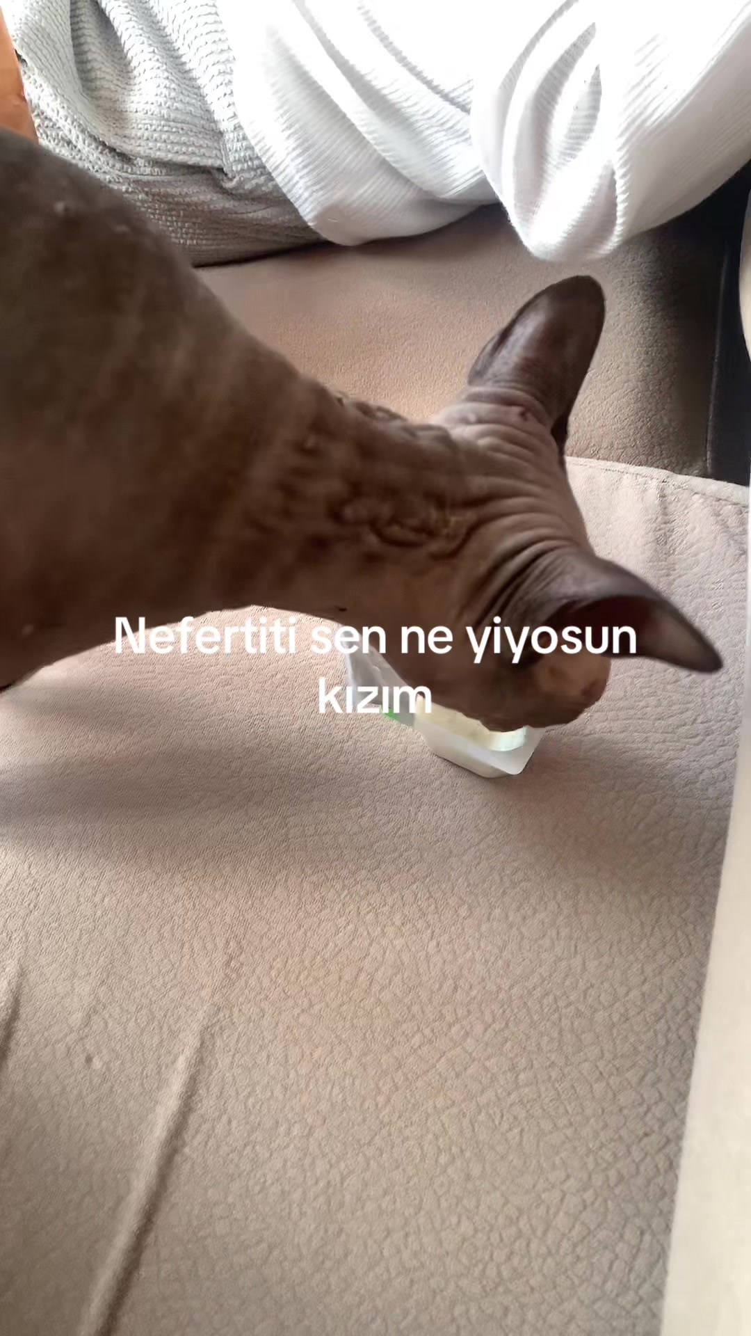 @Larin