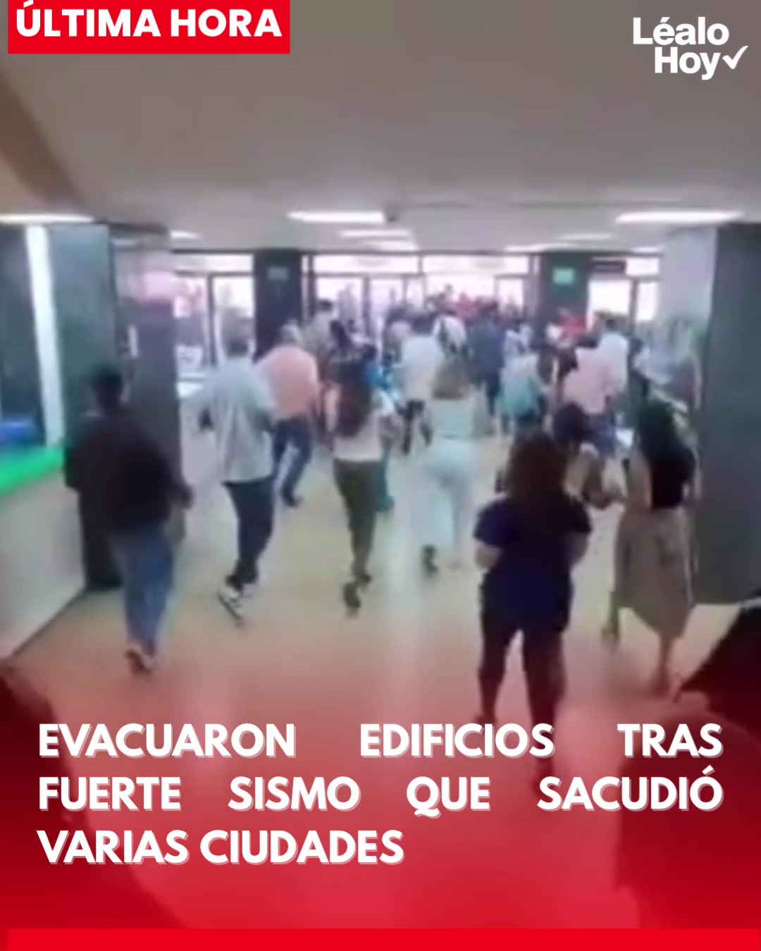 @lealoperiodico
