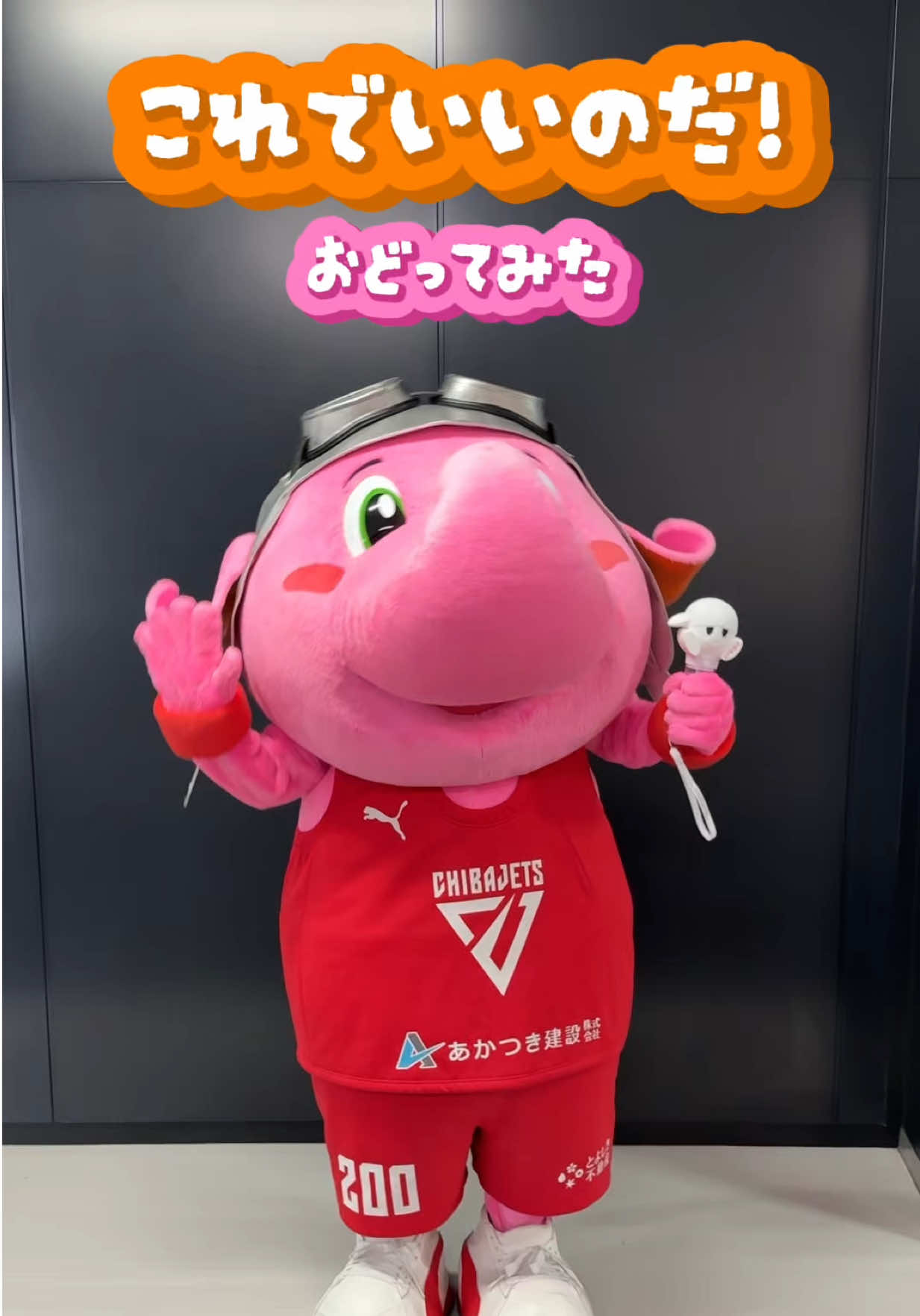 @千葉ジェッツ
