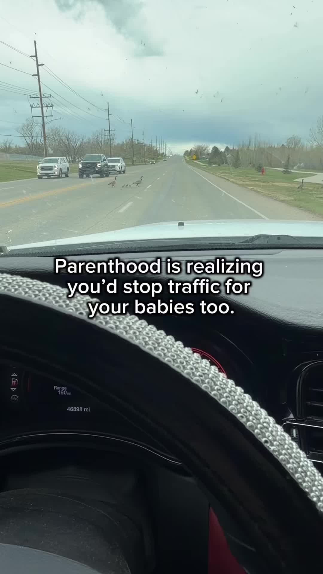 @healthyheartedmomma