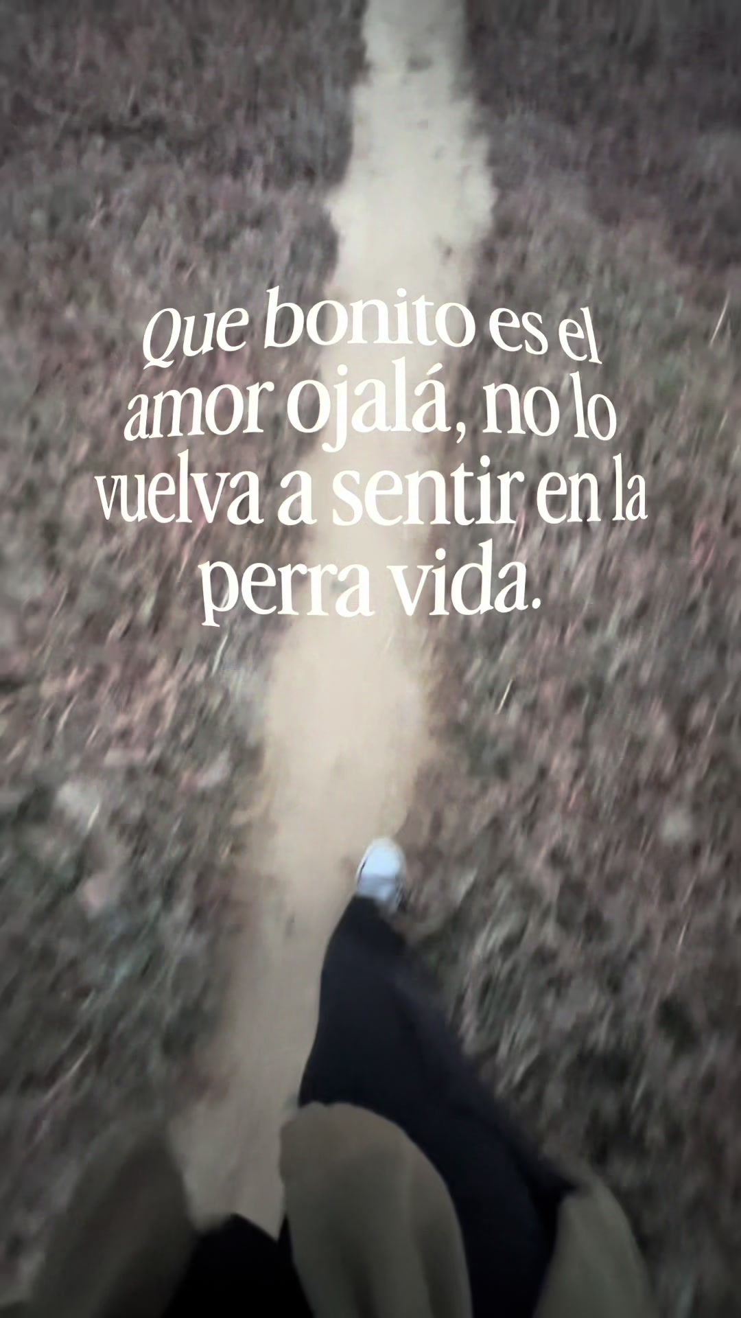 @Stephany