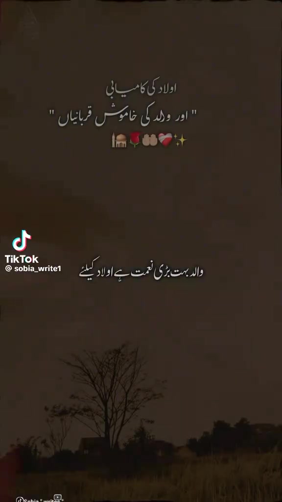@rihan malik