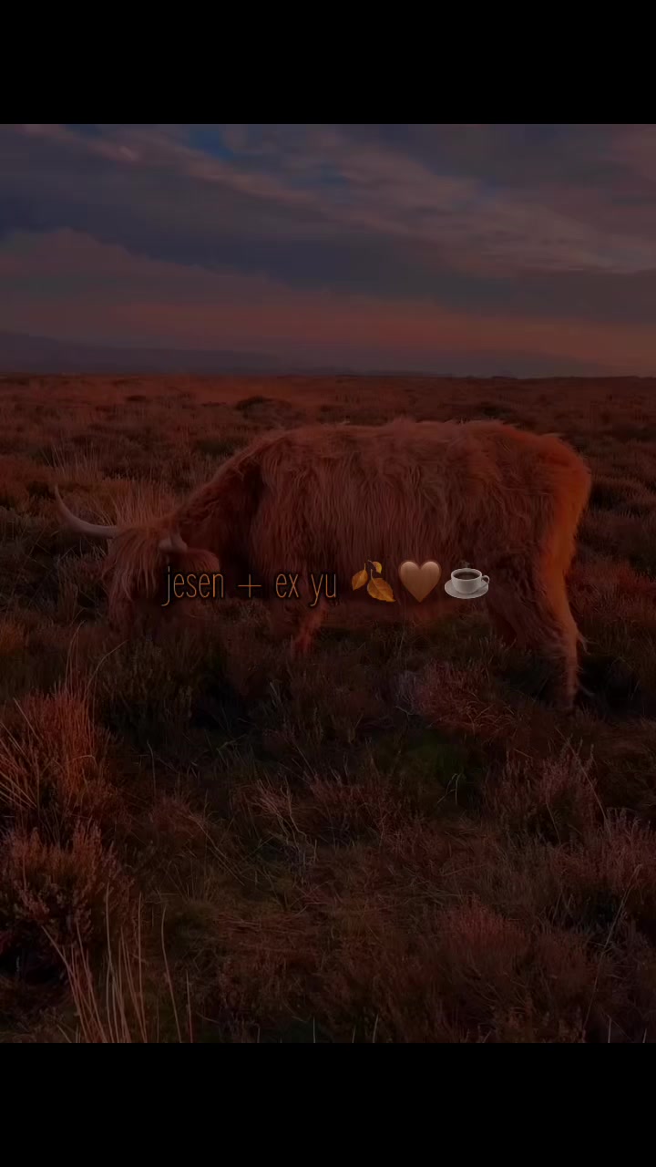 @...