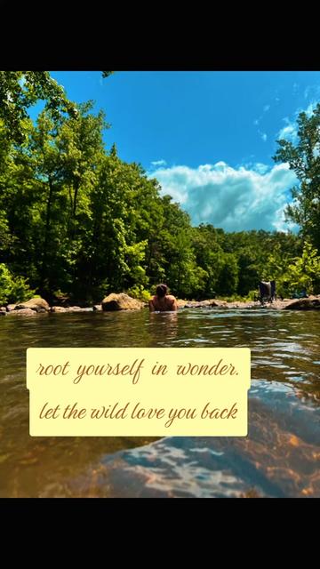 @🏕️Wandering Wildflower🏵️