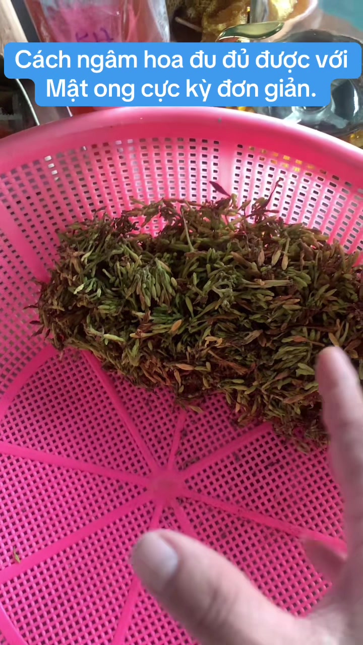 @Mật rừng THÀNH ĐẠT