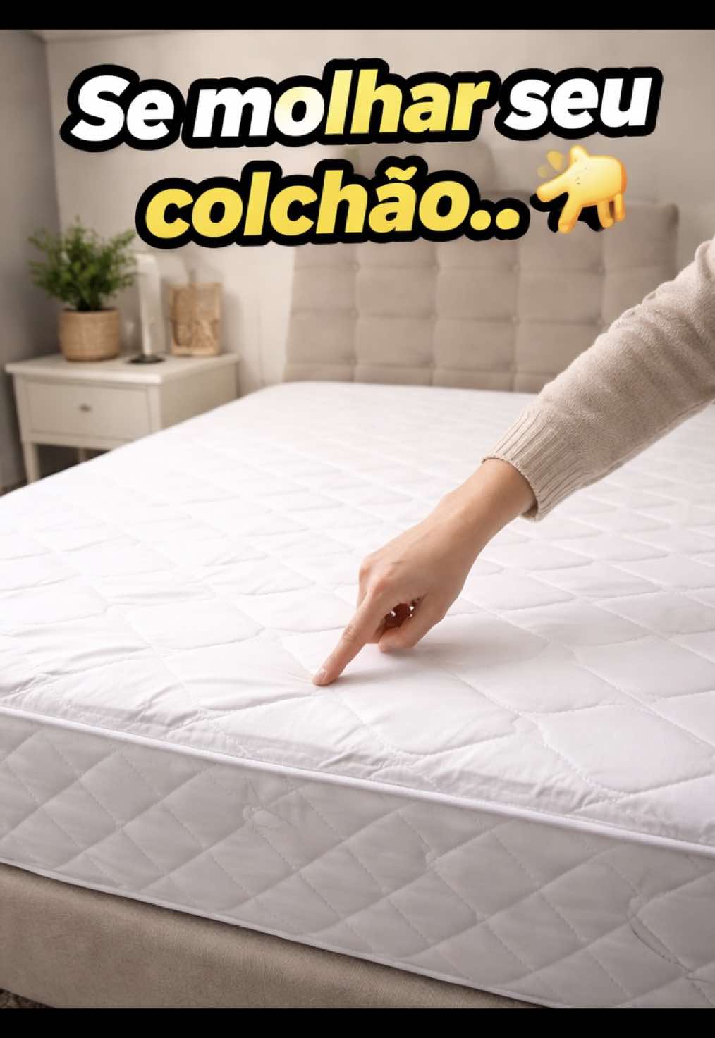 @insigthdomilhao