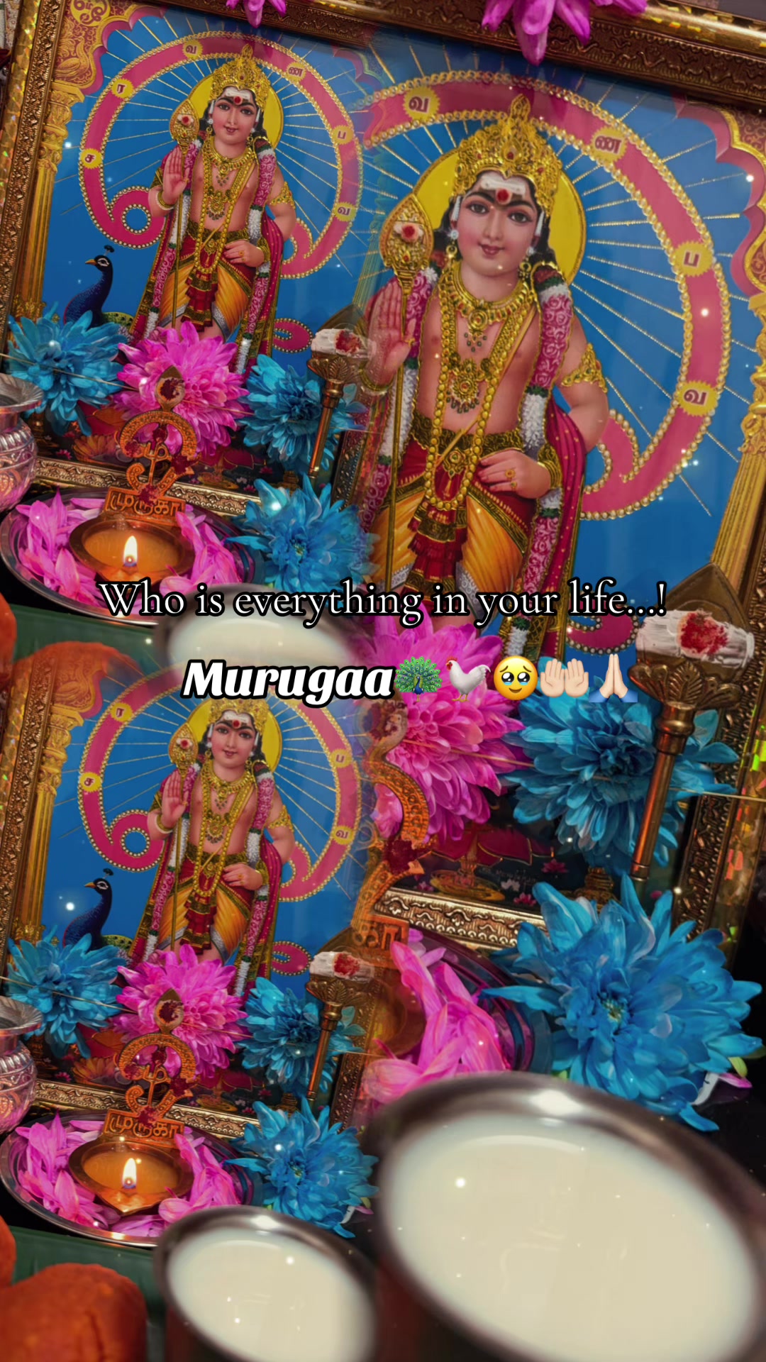 @M0g&ntilde;&euml;sPR&iacute;SS&acirc;t&igrave;S8617