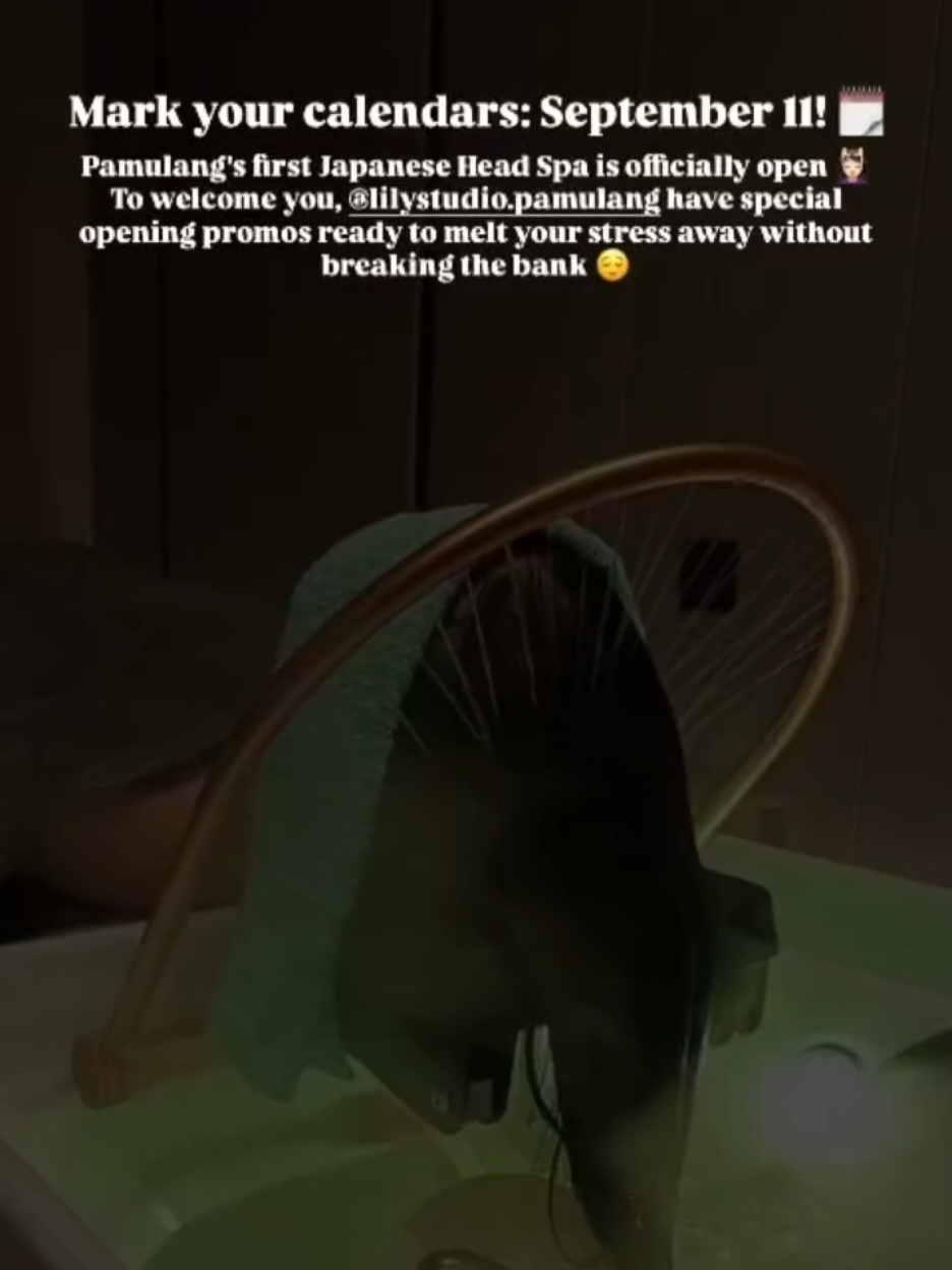 @lilystudio