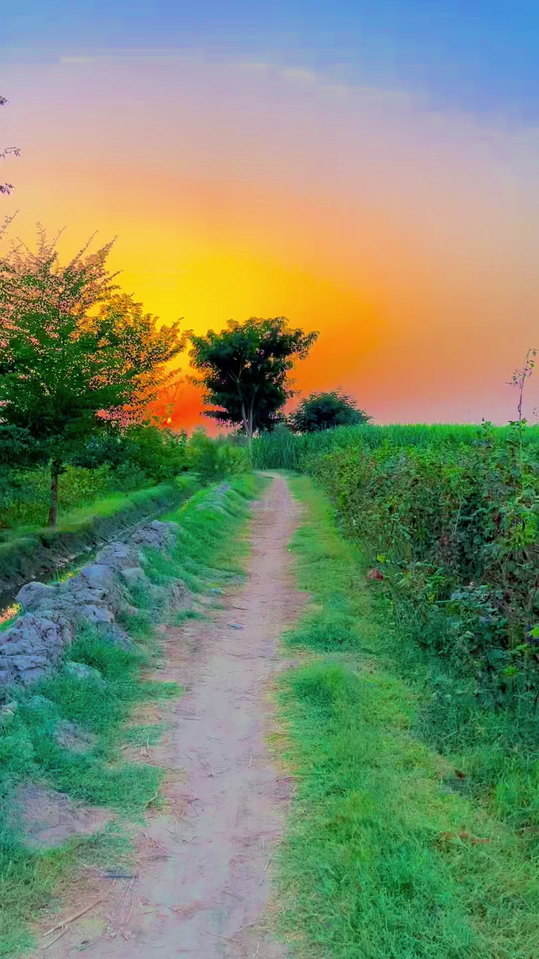 @🌾میں۔ میرا۔ پنڈ🎋