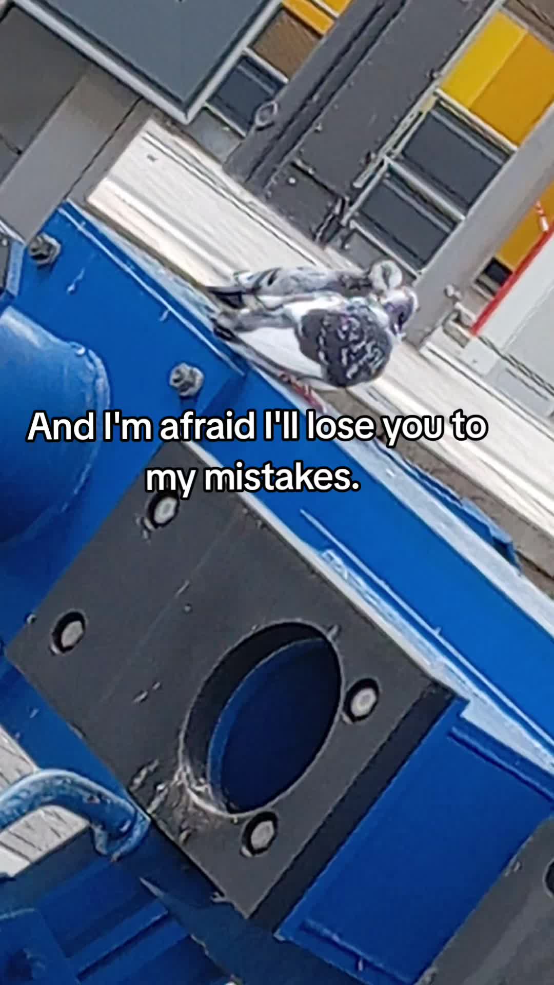 @𖤐𝓝𝓸𝓫𝓸𝓭𝔂𖤐