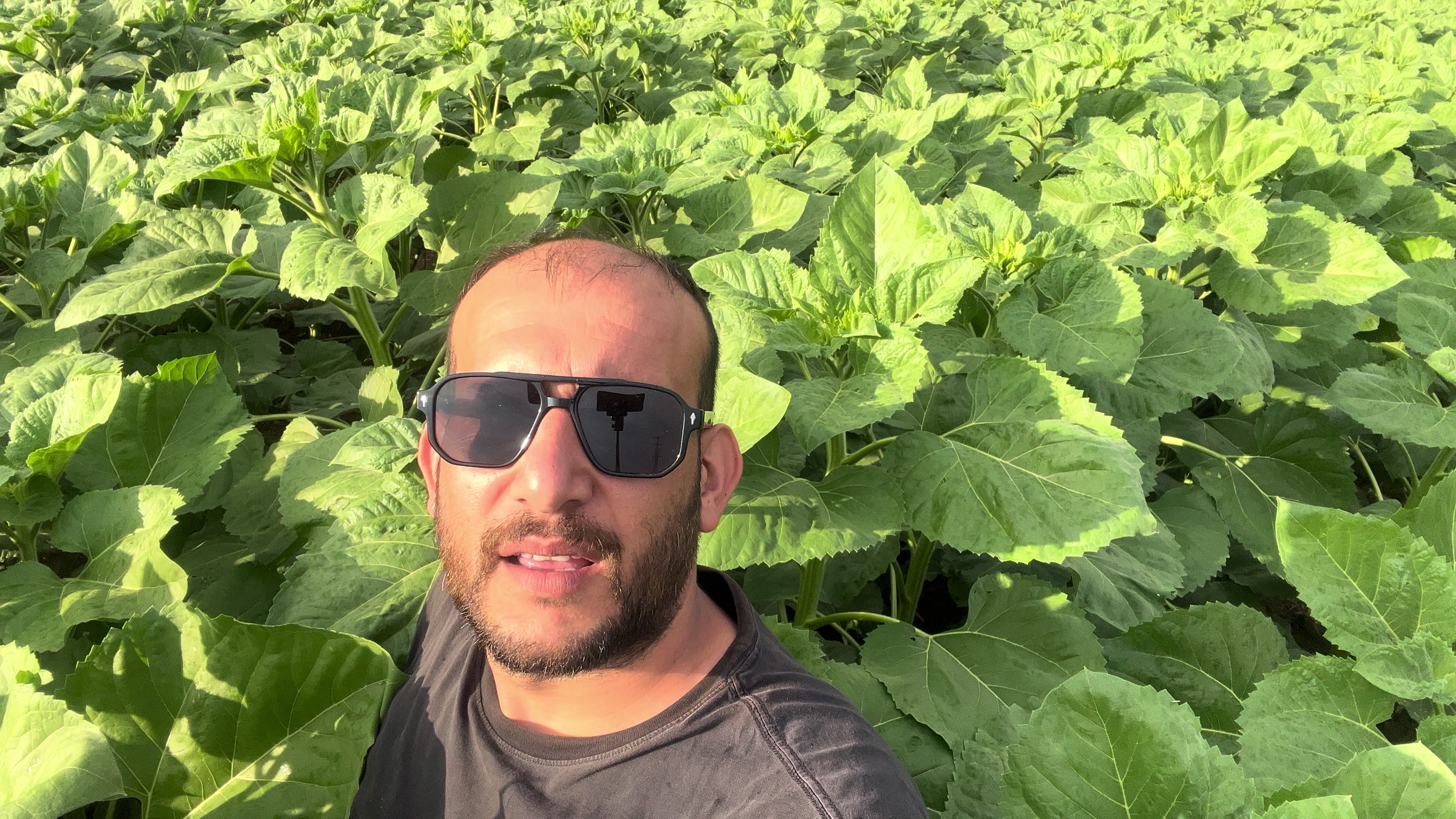@AGROŞİMŞEK TARIM ÜRÜNLERİ