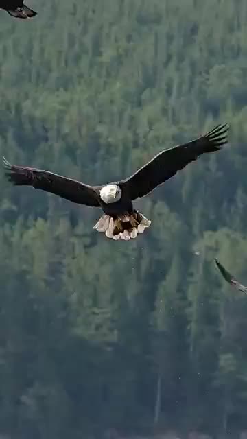 @leonizm35
