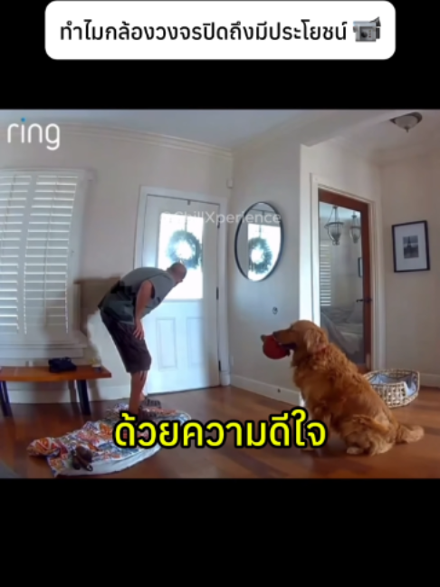 @Easy lifeHQ