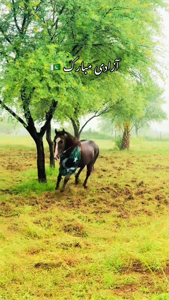 @Sameerx653