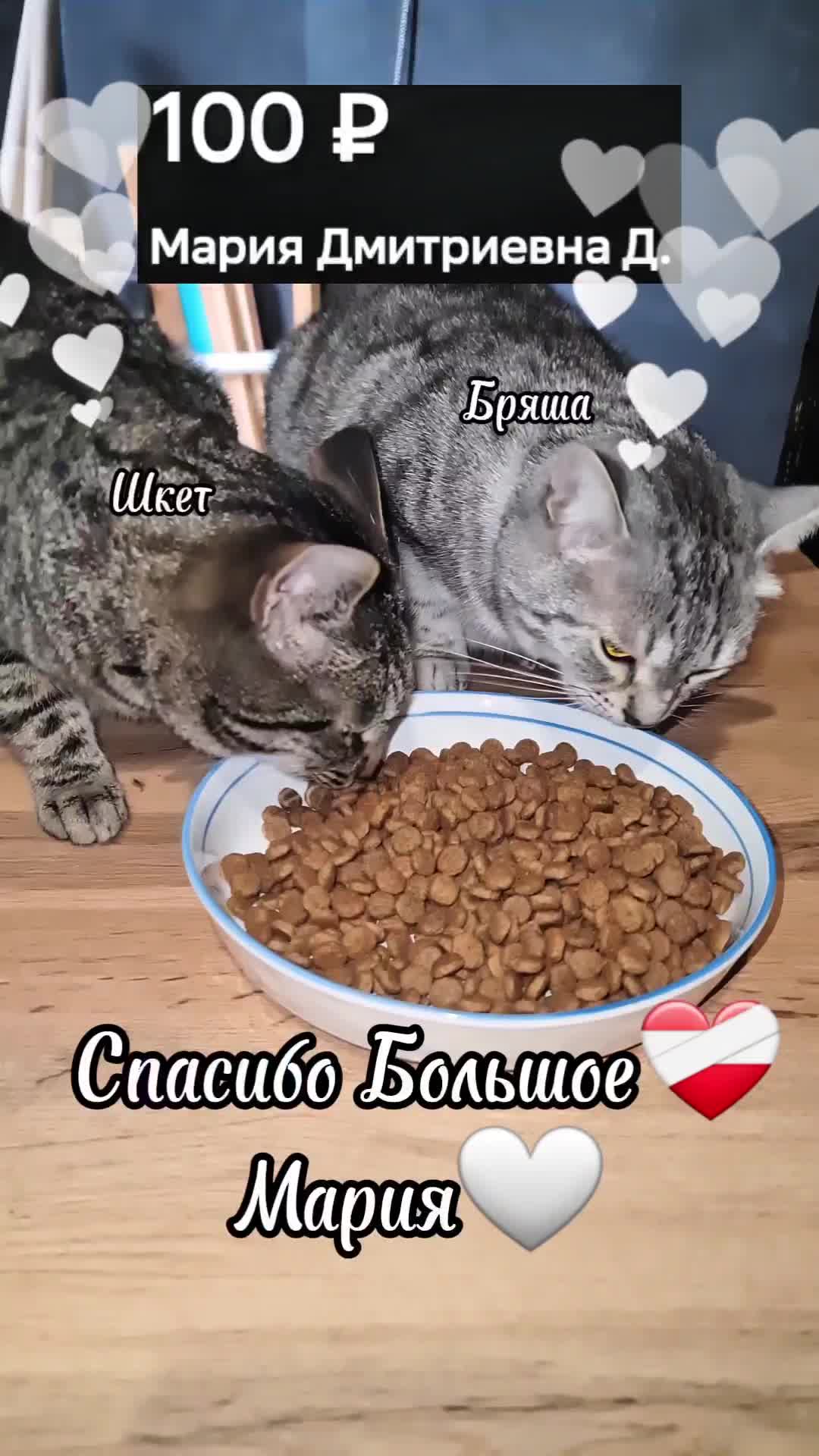 @Кошкин Дом