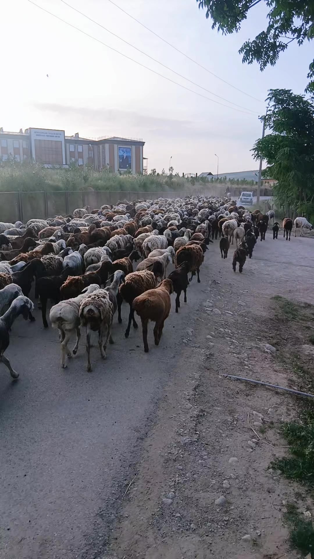 @U🇹🇯