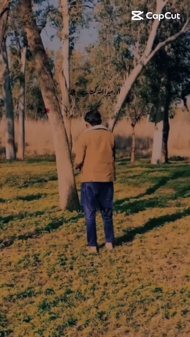 @Ali malik offical
