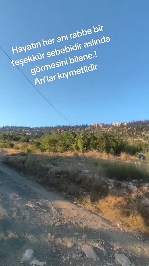 @asya koçak