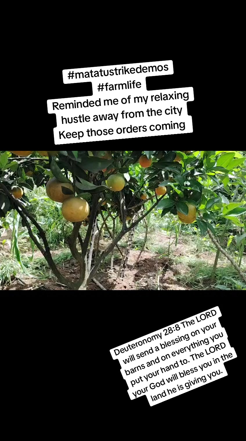 @Maestro Mtumba Bales