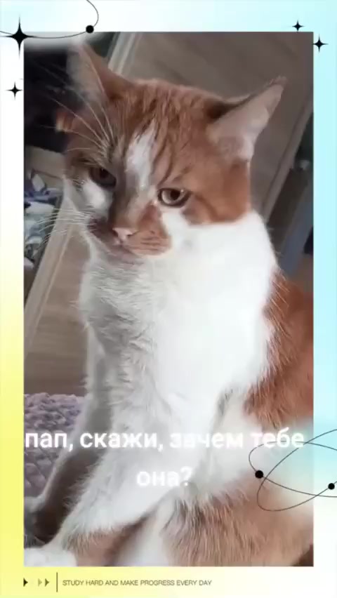 @Юлек Петербург-Елец