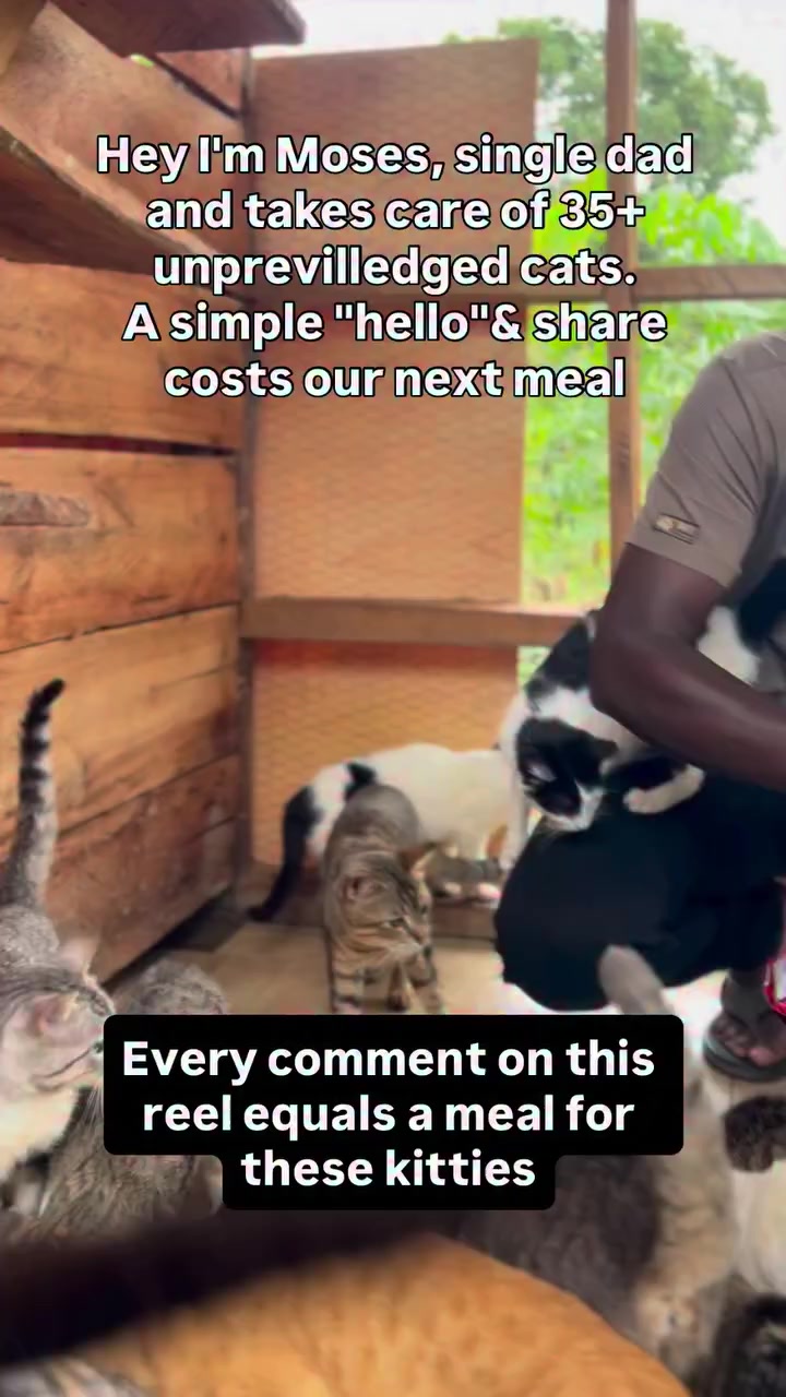 @Moses Cats Rescue Mission