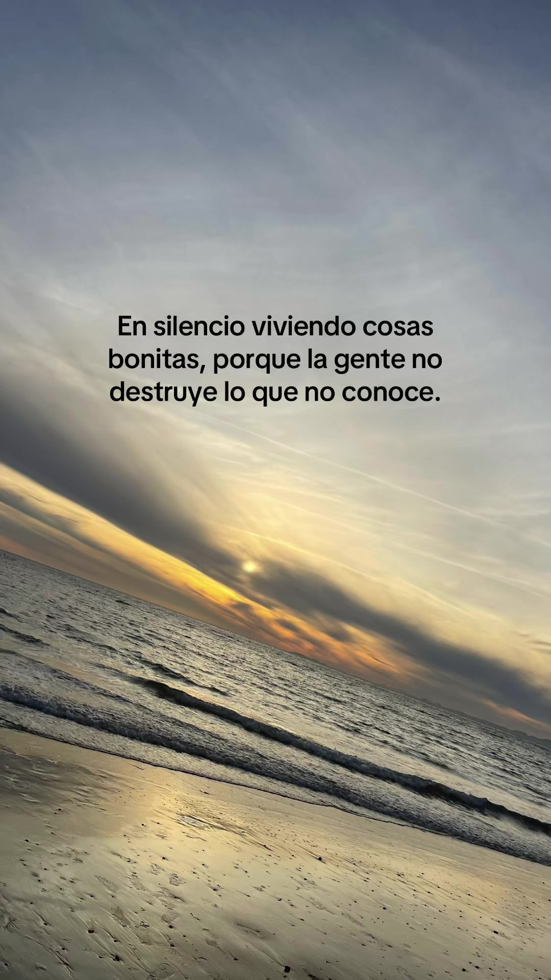 @lafierro_