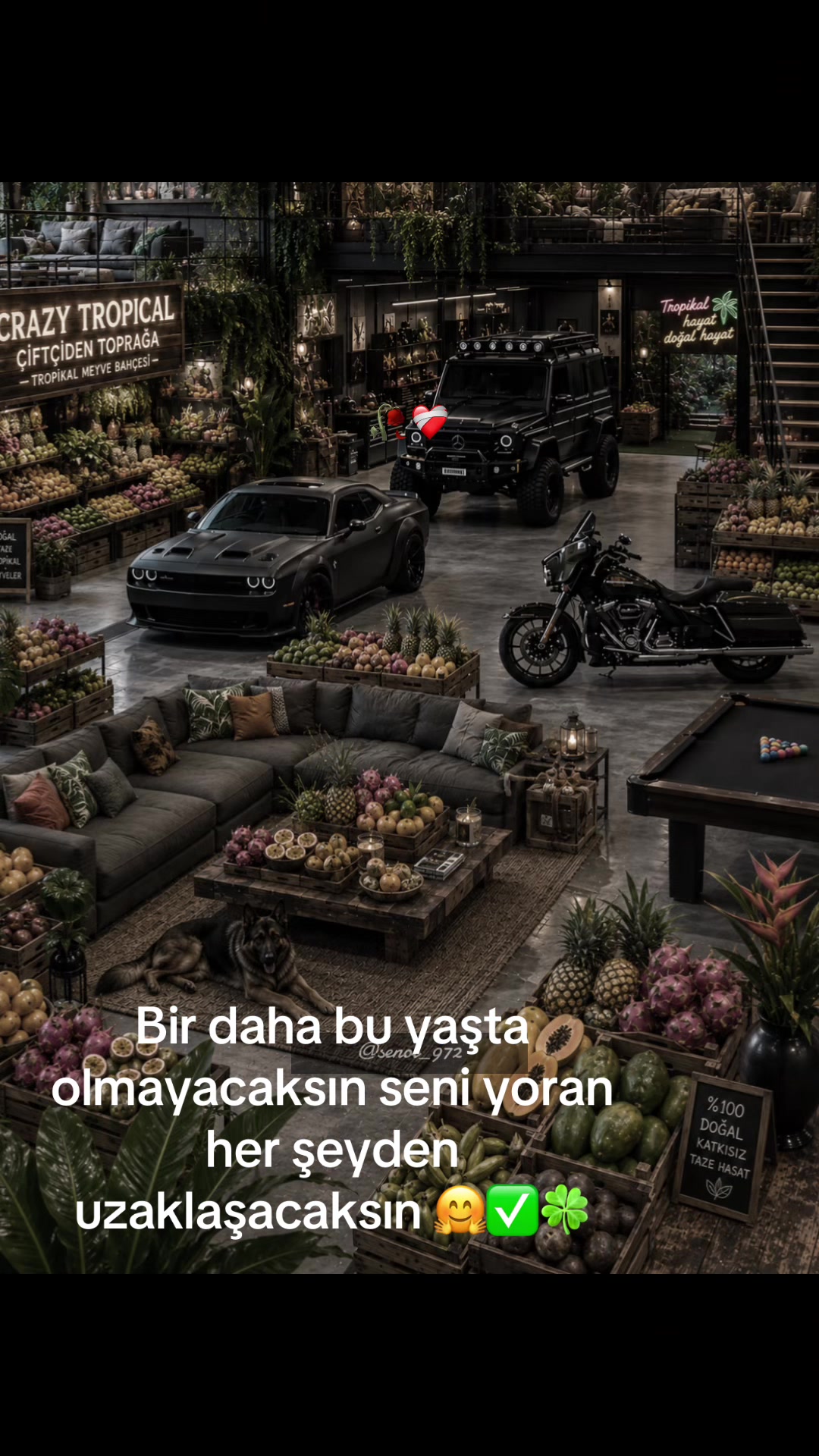 @Crayz tropikalantalya