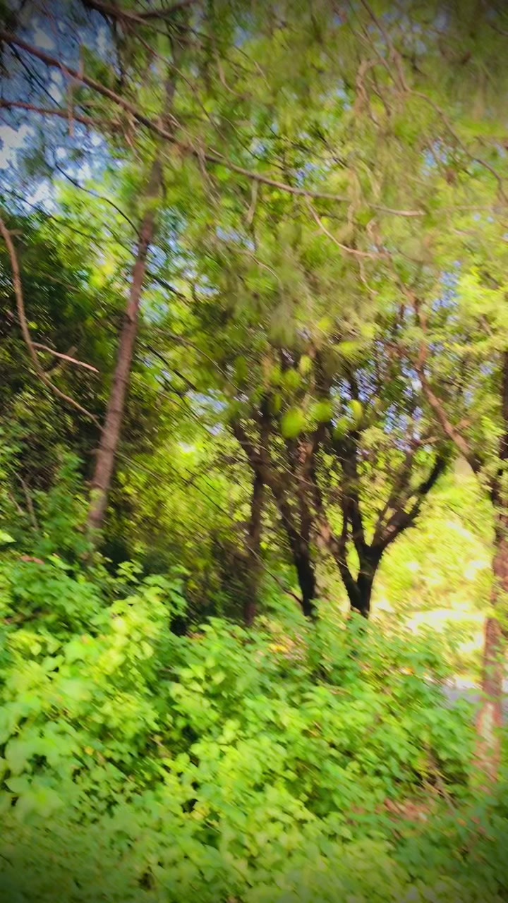 @Pendumalik04