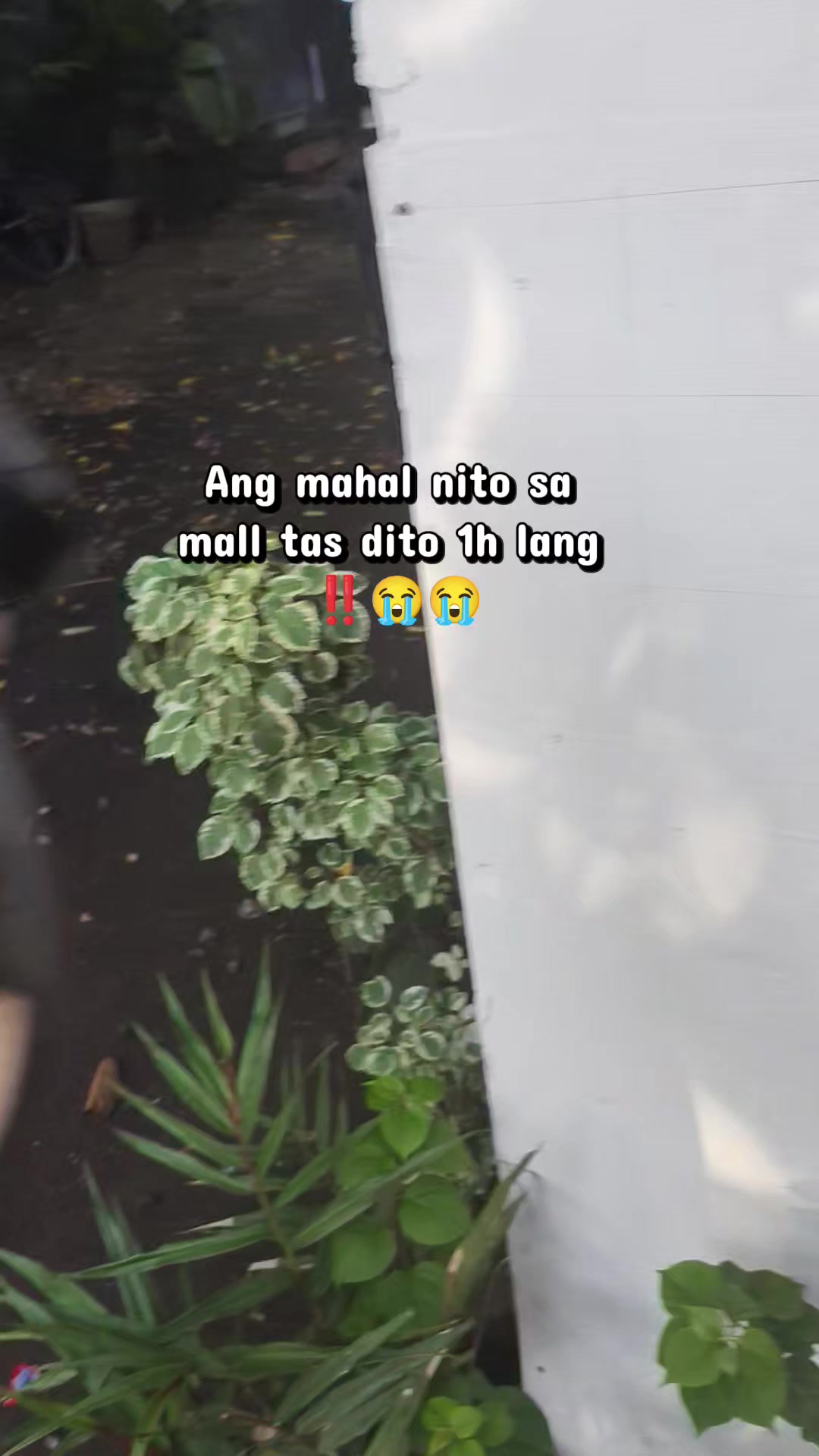 @Ms. C