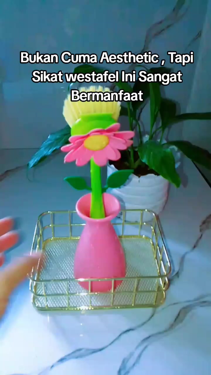 @janatulmawa