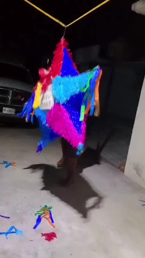 @Fernanda Tobias