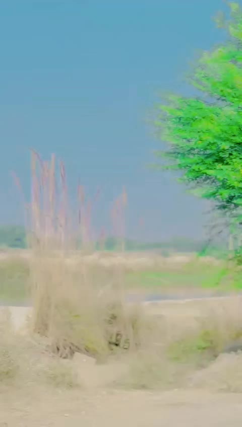 @Irfan khan☆⃝⃕❤️