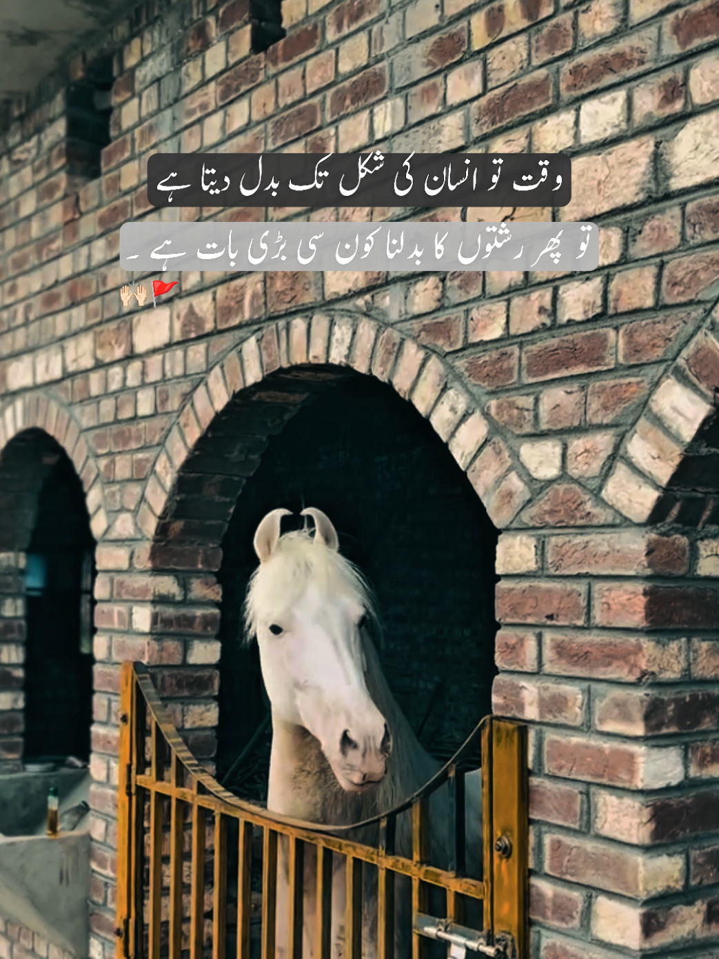@𓆩𝐅𝐱𝐢𝐳𝐢𓆪