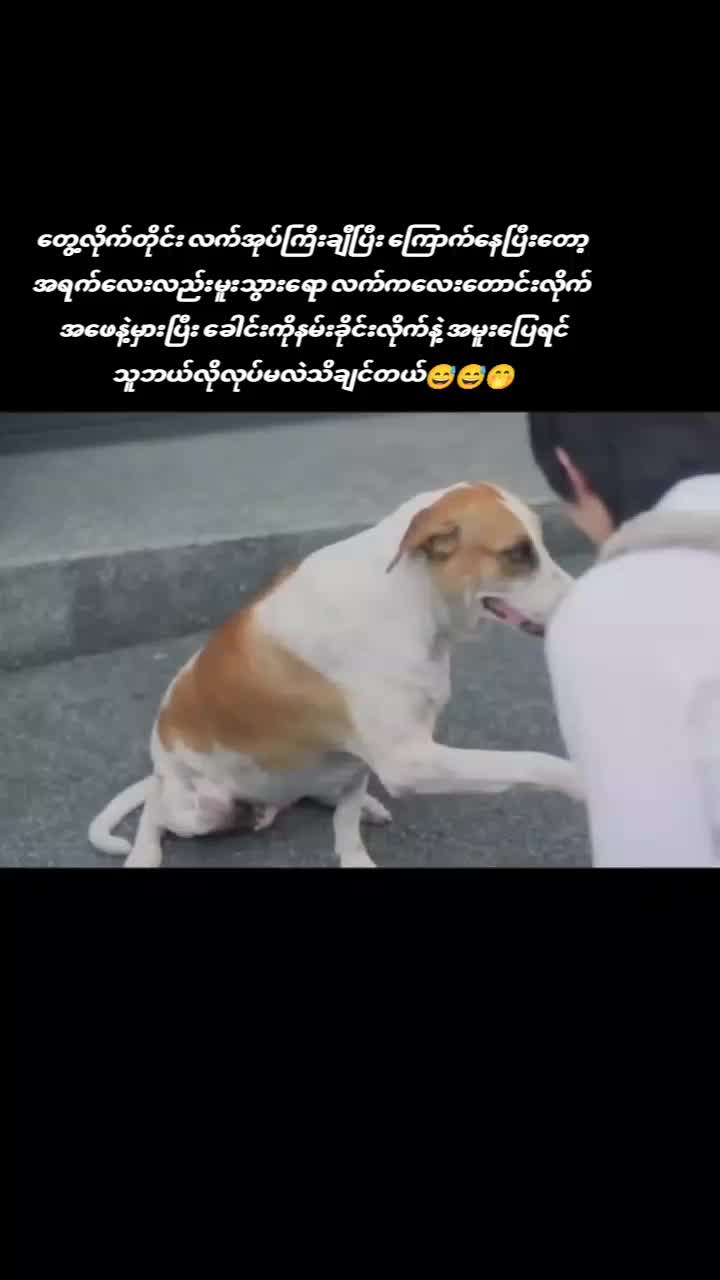 @Thinzar