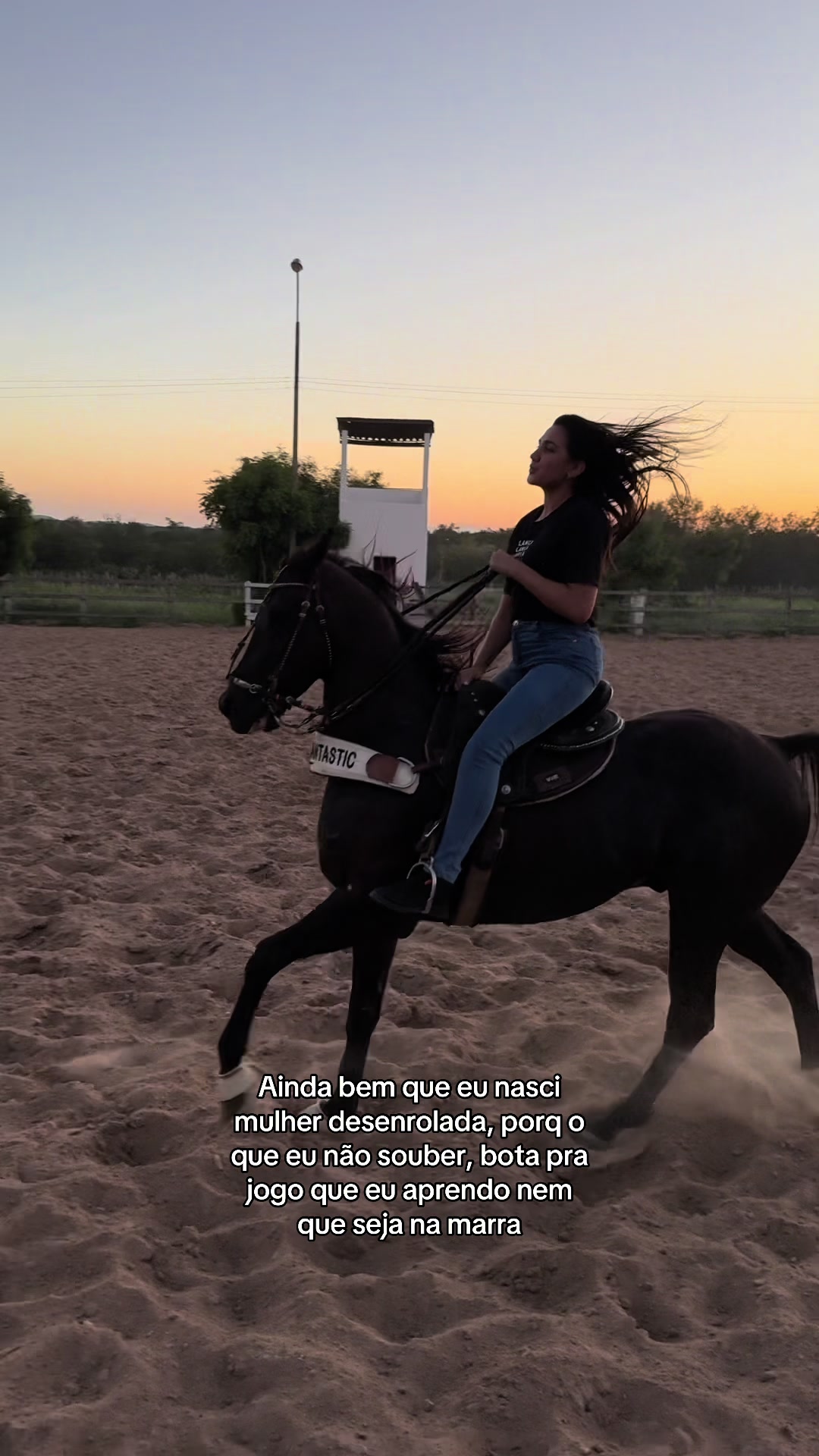 @Gabriela Palmeira