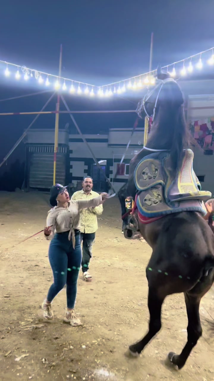 @الكابتن عبير🐎🥇🏆