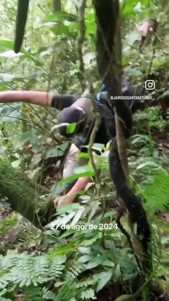 @jairodosantanaturbo_