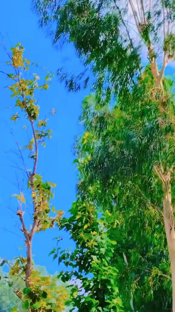 @😎👤 𝔂Ａⓓ&Atilde;ѶＢŘ&Delta;ⓃＤ 💎&clubs;