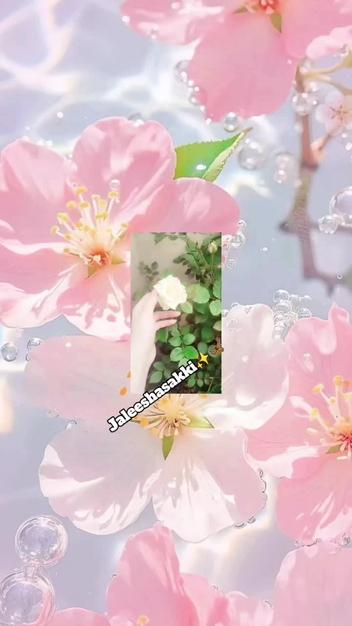 @🦋✨вυттєяfℓу🦋✨🗝️💕🆂︎🫶🏻🅹