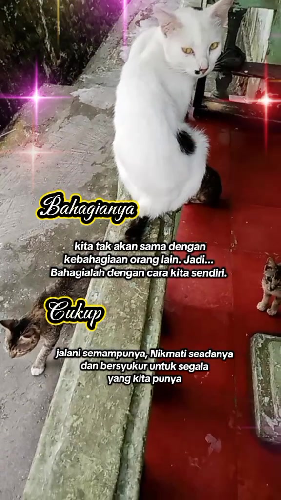 @Tie