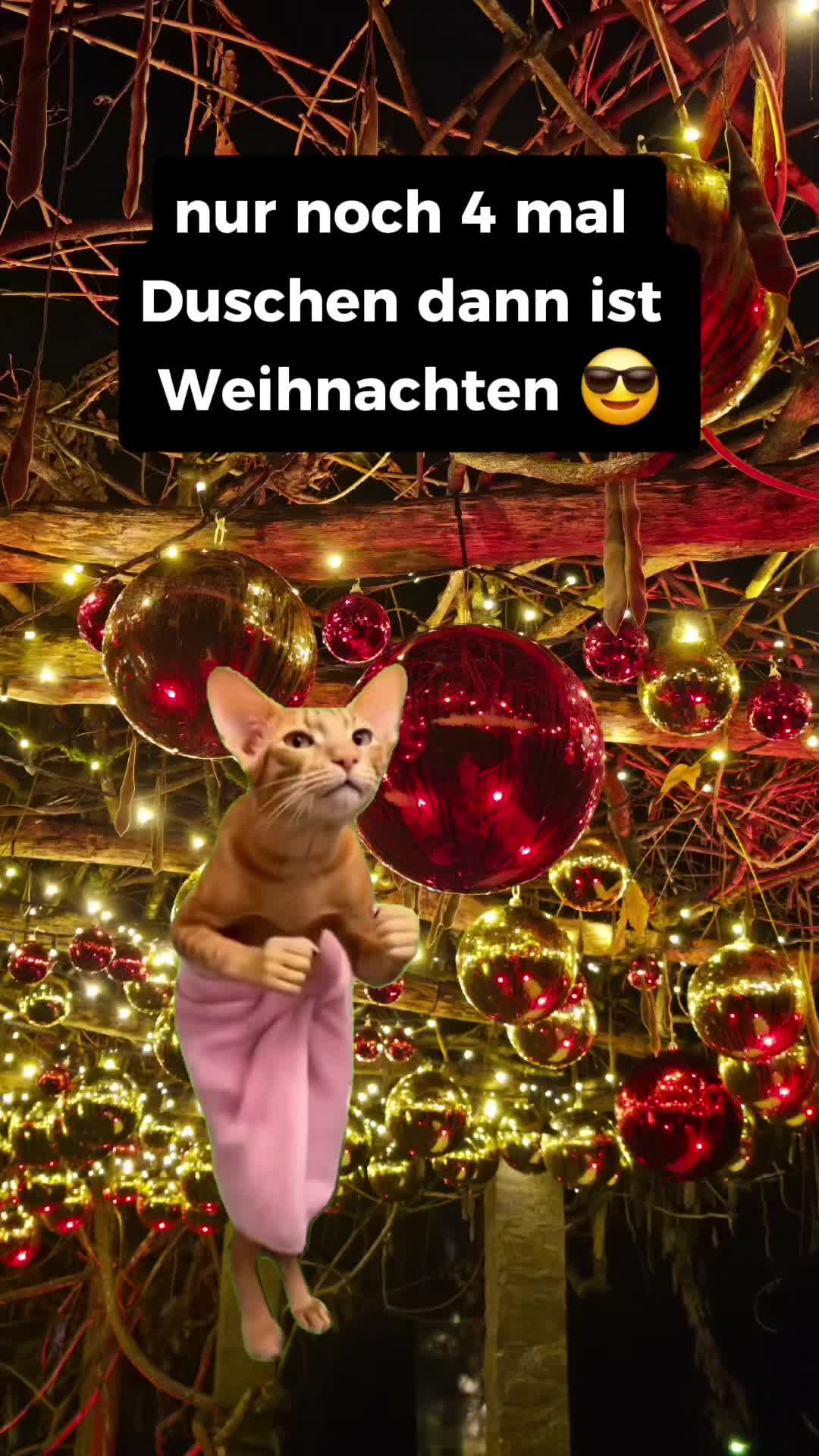 @☆Nickymaus☆