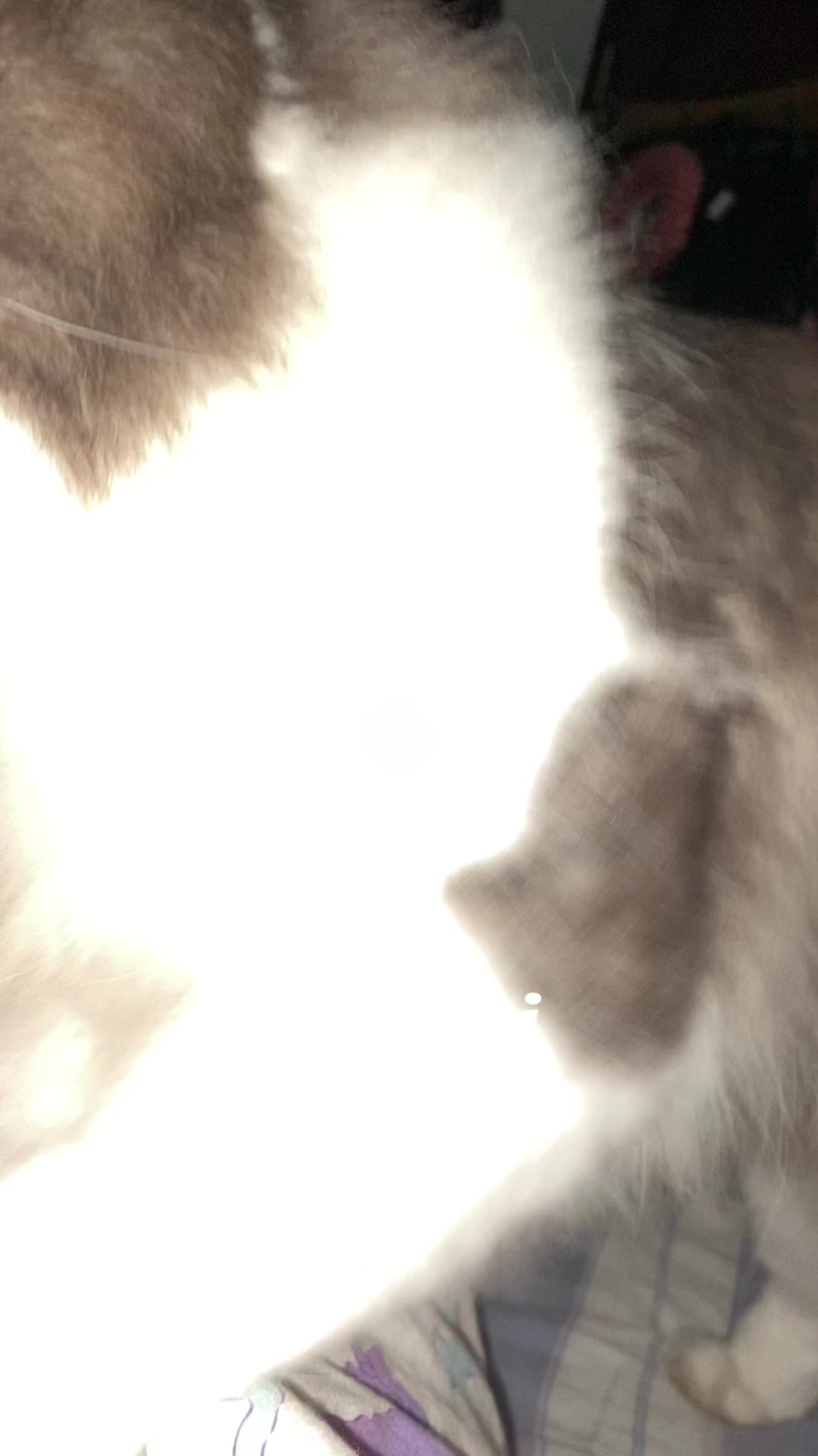 @๐๐๐๐ ๐๐๐๐๐