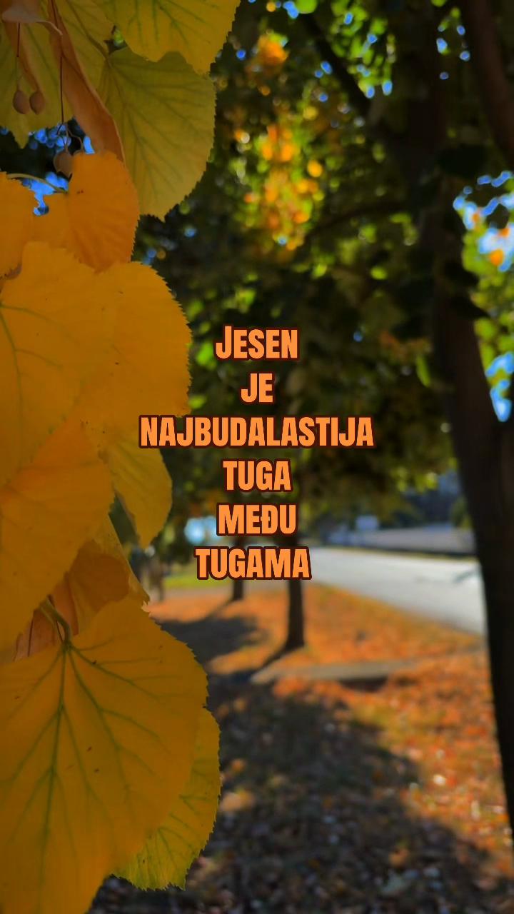 @marijararija